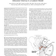 Ultrasound-Guided Injection of the Intrapelvic Portion of the Obturator Internus in a Cadaver Model