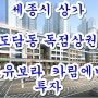 세종시 상가 도담동 독점상권 반도유보라..카림에비뉴 투자