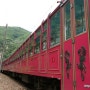【기차 여행】 백두대간 협곡열차 V - train