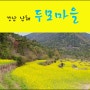 [경남출사지] 노랑 유채꽃 다랭이논 남해 두모마을