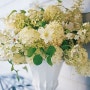 [Flower] Cotton-Garden Arrangement ♡