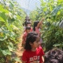홍천 한국몬테소리어린이집 여름 생태프로그램