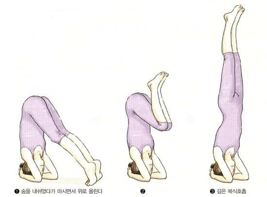 삼초를 튼튼하게 하는 요가(5) : 그 밖에 좋은 자세 - 물구나무서기, 역물구나무서기 : 네이버 블로그