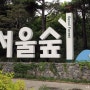[서울여행] "서울숲" 나들이 다녀와서!