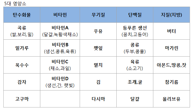 [5대 영양소] 우리에게 필요한 필수 영양소, 5대영양소 식단챙겨먹기 : 네이버 블로그