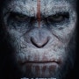 영화 후기 / 혹성탈출 : 반격의 서막 (Dawn of the Planet of the Apes, 2014) / 제대로 서막을 알리는 무서운 '시저'