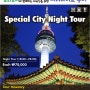 코리도어의 외국인을 위한 시티나이트 투어 (Special City Night Tour)