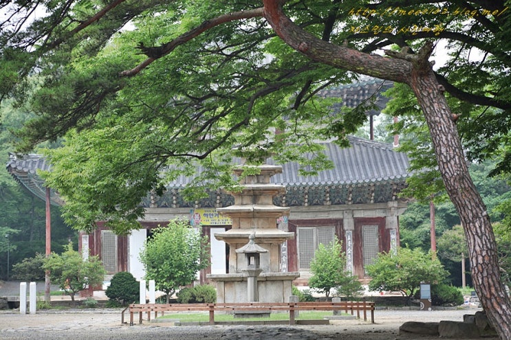 부여 가볼만한곳, 무량사 : 네이버 블로그