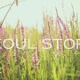 SEOUL STORY# Story snap with WONKYU+ STUDIO