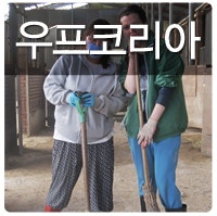 보성 우프코리아 게스트하우스 골망태펜션에서 알려드리는 우프이야기! : 네이버 블로그
