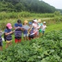 홍천 모곡초등학교 2회차 생태프로그램