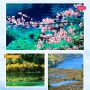 [중국여행] 유네스코 세계자연유산, 물의나라 구채구