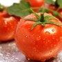 다이어트 식품 토마토효능과 칼로리 부작용 알아보자
