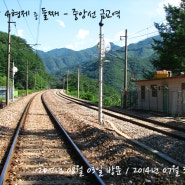 신호장 4형제 中 둘째 - 중앙선 금교역 [2012.08.03.]