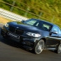 BMW M 퍼포먼스 트랙 에디션 M235i