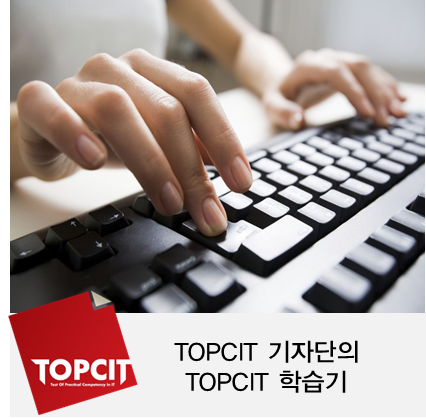[TOPCIT 후기] 11월 정기평가를 목표로 달린다, TOPCIT 기자단의 TOPCIT 학습기 : 네이버 블로그