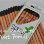 친환경 아이디어! 연필에서 식물이 자란다, Sprout Pencil 