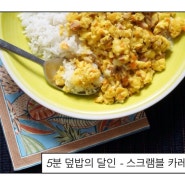 [유학생 요리] 5분 덮밥의 달인 - 카레가루 아끼느라, 스크램블 카레 덮밥
