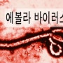 에볼라바이러스 증상과 예방 방법 by.게이너클럽