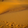 무이네의 작은 모래사막 레드샌드 듄(Red Sand dunes) [베트남, 무이네(Mui Ne) 자유여행 #3]