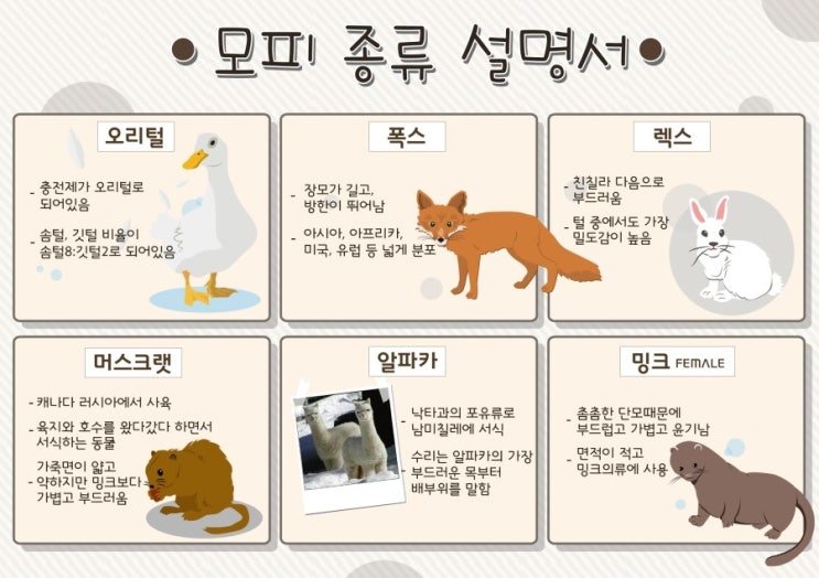 ::모피종류,퍼스타일::오리털, 폭스, 렉스, 머스크랫, 알파카, 밍크 패션용어 알아보기 : 네이버 블로그