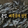 [시사] KBS 추적 60분 : 금강 떼죽음의 진실 (2014.08.09)