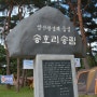 영동 송호국민관광지(2014.08.09 ~ 10) - 간만에 가족캠핑