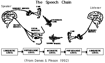 how to produce speech sound ① : 네이버 블로그
