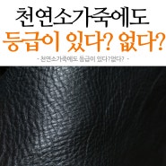 천연소가죽에도 등급이 있다? 없다?