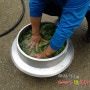 [친환경 쌀] 독초액 만들기