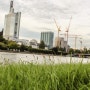 Frankfurt City 2