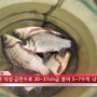 [TV] 8월 19일자, 논산권 붕어조황