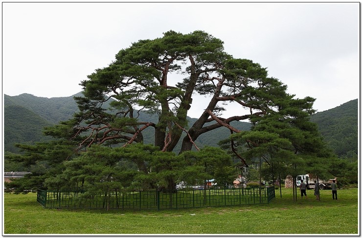 상주 화서면 반송 : 네이버 블로그