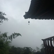 2014년 8월 20일 비오는 날의 부산풍경