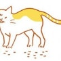 [목동동물병원/리베동물의료센터]쉬운 반려동물 질병상식 - 고양이의 공격적 행동