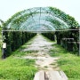 구리여행 차박: 구리 한강시민공원 (서울 근교 유채꽃, 코스모스축제 일정)