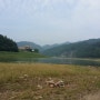 물 오른 남한강