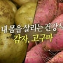 감자와 고구마 - 천기누설