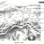 미용필기시험 피부학 - 표피
