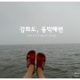 [강화도] 1탄 - 동막해변해수욕장 , 강화도 가볼만한 곳