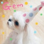 G E M 3rd birthday