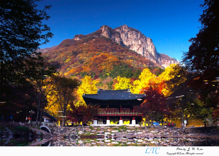 [백양사] 미리보는 백양사 쌍계루의 아침풍경 / Korean Autumn Season of 'Bakyangsa' temple ...
