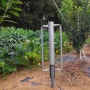 자두나무 재배 - 중고 아시바파이프를 이용한 Y자 수형 지주대 설치 작업