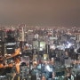 일본 오사카 자유여행 우메다 스카이빌딩 우메다 공중정원 야경