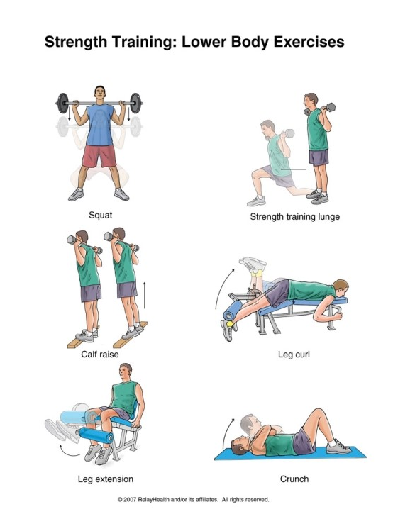 기본 근력트레이닝 - Basic Strength Training : 네이버 블로그