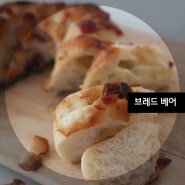 [브레드베어] 유명한 빵집 빵을 빵배달서비스로 즐겨요~