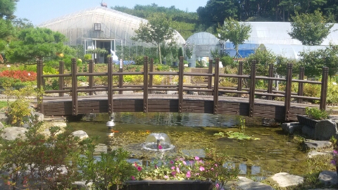 [당진가볼만한곳] 당진 농업기술센터 농심테마파크 - 꽃 식물원...