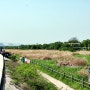 서울 한강 광나루지구 차박: 광나루 한강공원 (광나루지구 주차장)