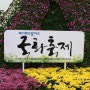 [인천가을축제] 인천드림파크 국화축제