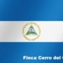 니카라과 - Finca Cerro del Cielo